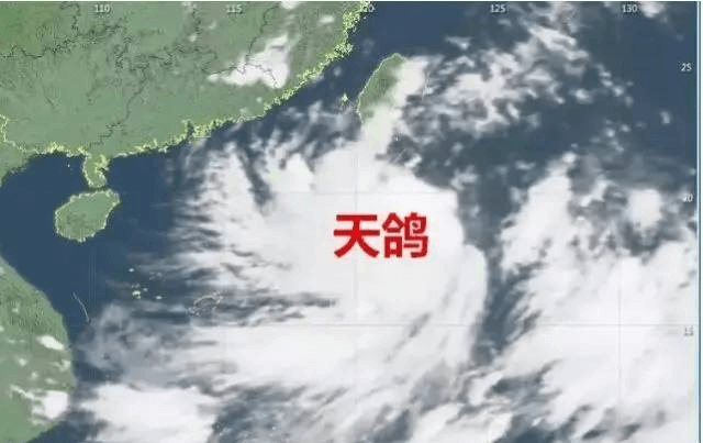 “天鴿”來臨，因安裝低質報警器損失10萬